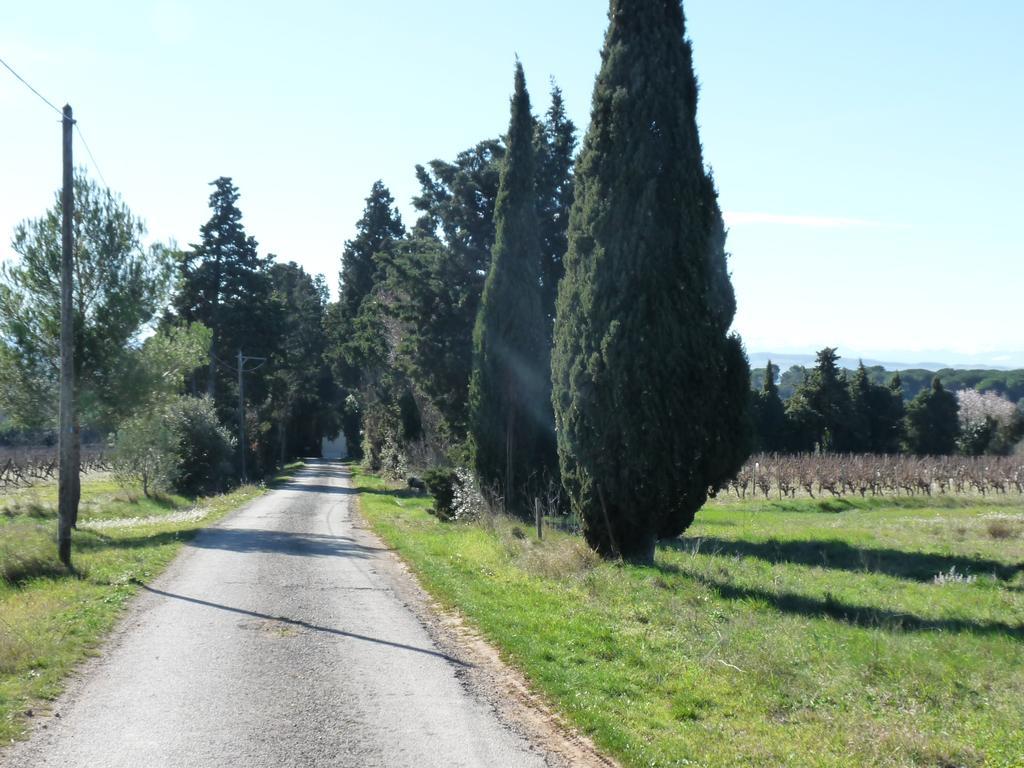 Chateau La Bouriette Moussoulens Exteriér fotografie